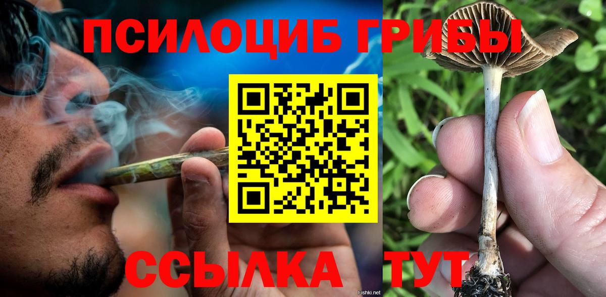 Псилоцибиновые грибы GOLDEN TEACHER  Вход с VPN  Псилоцибиновые грибы Psilocybine cubensis  Железногорск 
